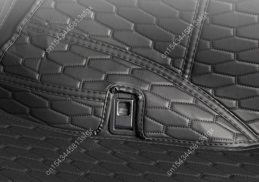 Tapis De Cofe Pour Lexus NX 350h, 450h+ AZ20 SUV (11.2021-....) - Bac