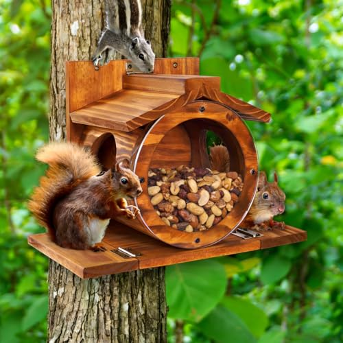 WRQIOO Eichhörnchen Futterhaus Wetterfes mit Runden Transparentes Futterstationen für Eichhörnchen 2 Eingänge & Sitzplattformen Eichhörnchen Futterstation zum Aufhängen mit Belüftungslöchern
