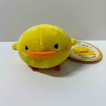 51z0RNyu4CL._AC_UF350,