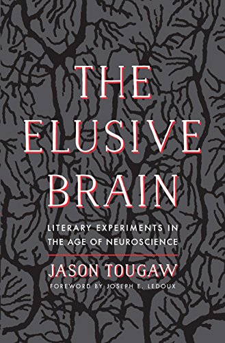 The Elusive Brain view 2