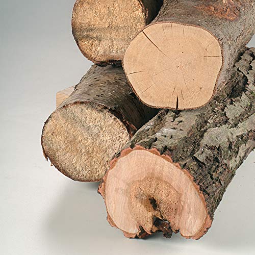 Bosch Home and Garden DIY Säbelsägeblatt Top for Wood zum Sägen in Holz (2 Stück, S 1131 L) – Ansicht 4