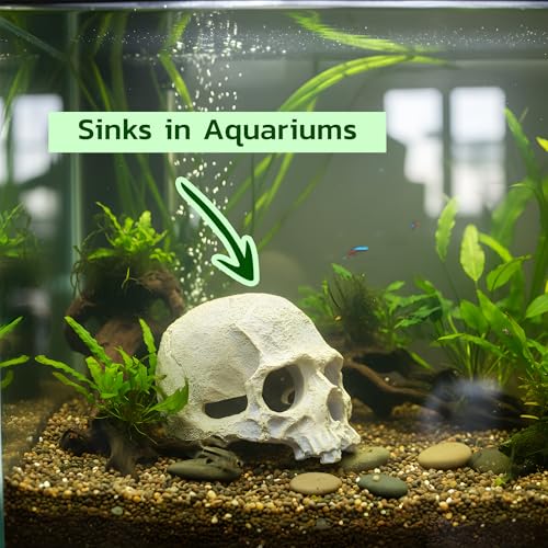 Image of CTWPets Aquarium Human Skull Decor for Betta Fish, Sinking Hide Shrimp Hide
