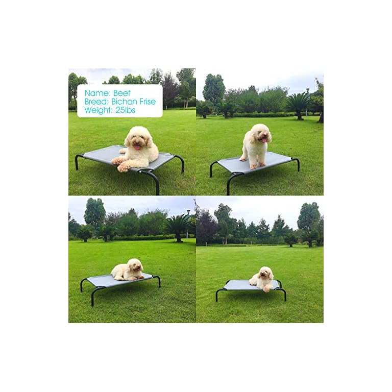 Elevated Cooling Pet Cot Buy Online