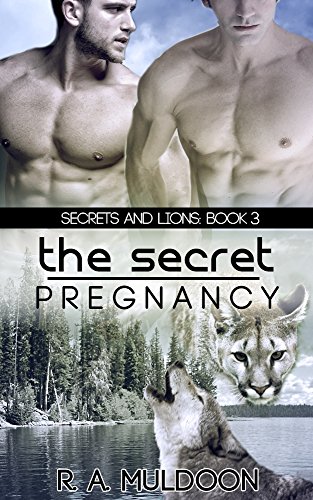 secret pregnancy romance books
