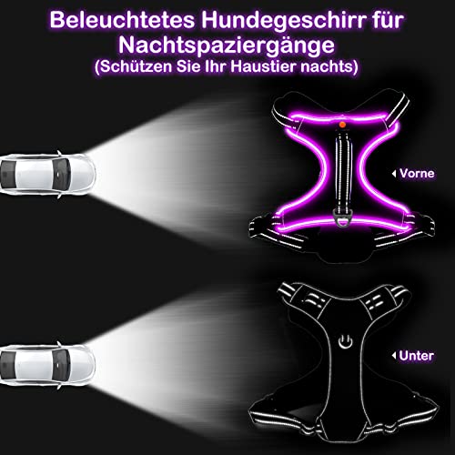 Hundegeschirr Leuchtend Wiederaufladbares Leuchtgeschirr für Hunde Led Beleuchtetes Hundegeschirr für Klein Mittelgroße Große Hunde