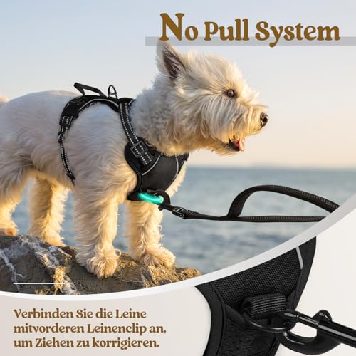 rabbitgoo Hundegeschirr Kleine Hunde, Anti Zug Geschirr mit Kontrolle, No Pull Verstellbar Hundegeschirr Grosse Hunde, Atmungsaktiv Reflexstreifen Brustgeschirr Sichere Führung Schwarz XS