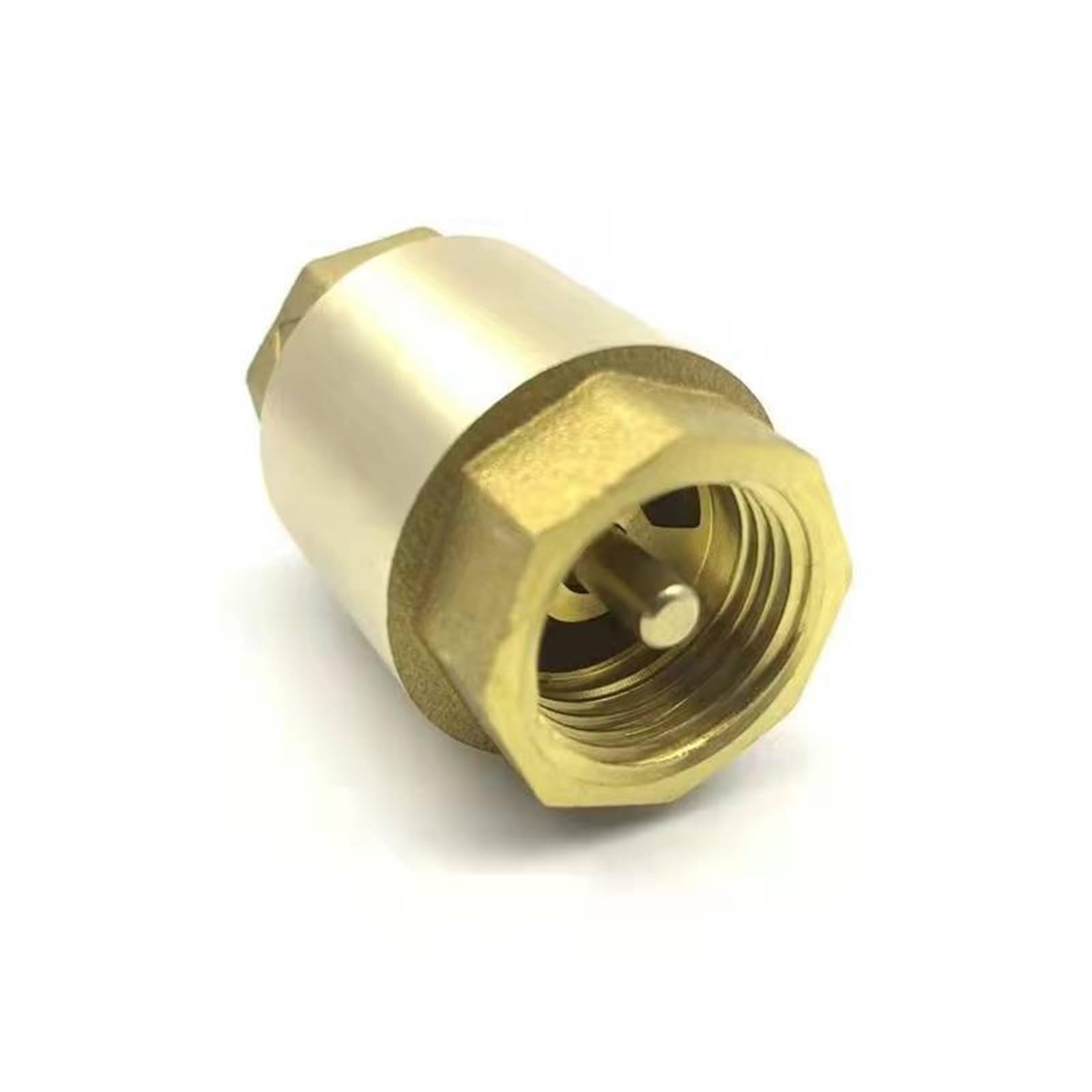 Valvola di ritegno a molla in linea in ottone, valvola di non ritorno verticale unidirezionale, filettatura femmina verticale, for la prevenzione del riflusso acqua(DN65)