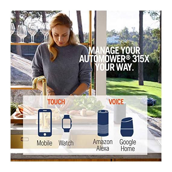 google home automower