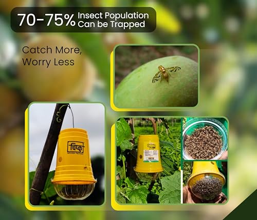 Image of Chipku Bactocera Dorsalis Fruit Fly -Pack of 5 Outdoor Eco Pheromone Trap with Lure Useful in Mango, Papaya, Sapota, Guava, Pomegranate, Sweet Fruit Yellow