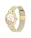 Coach Cary Women's Watch | Premium Fashion Timepiece for Her - Perfect for Day and Night | Water Resistant (Model 14504003)