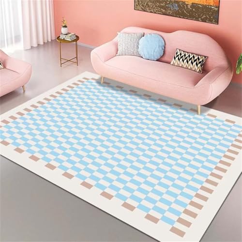 Tapis extérieur entrée lavable idéal pour les maisons animées