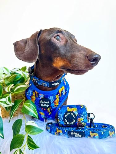 Wild Spirit Leopard Dog Collar XS, Blue, extra small - Image 3