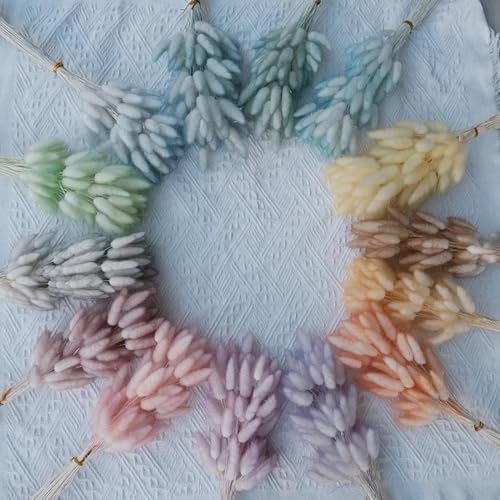 Ramo 50 Pzas Pampas Grass Seco para Decoración Boho miniatura 3