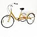 OUKANING Bicicleta de 24 Pulgadas y 3 Ruedas,Triciclo para Adultos,Triciclo de Bicicleta Amarillo de 6 velocidades con Cesta de Aluminio para Adultos,Bicicleta cómoda para Exteriores (Sin luz)