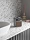 R1S Smart Radio