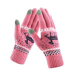 WENZHOU Handschoenen voor dames, winter, warme touchscreen, winterhandschoenen, sneeuwbloemen, print, houdt warm met…