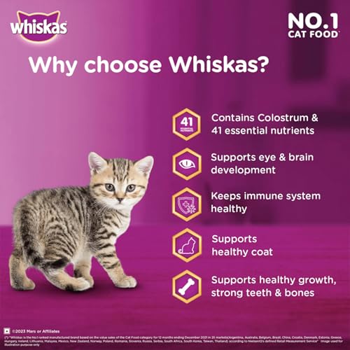 Image of Whiskas Junior Mother Cat & Kitten (2-12 Months) Dry Cat Food, Ocean Fish Flavour, 6.5 kg, Contains 41 Essential Nutrients, Complete & Balanced Nutrition for Mother Cats & Kittens (Pack of 2)