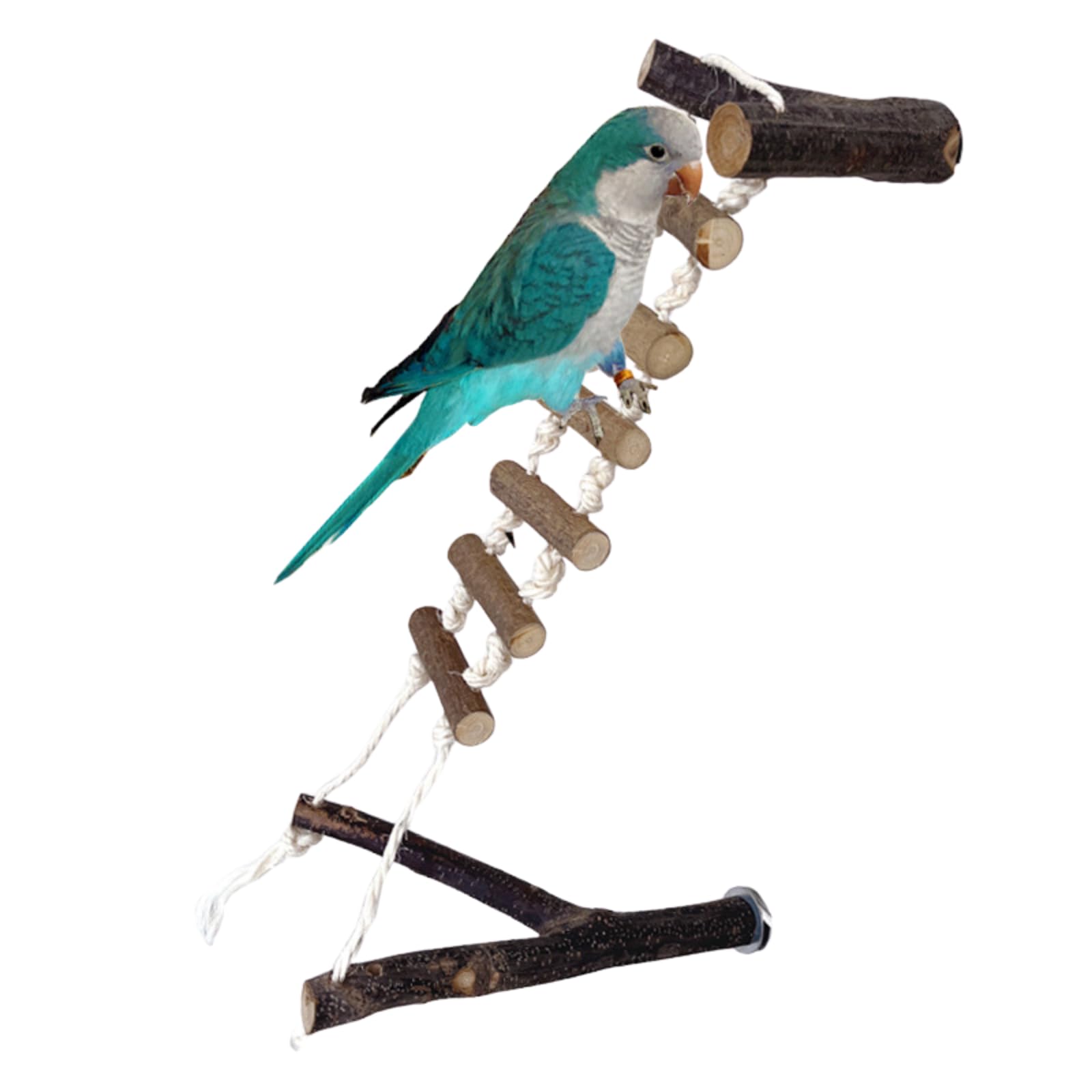 Bird Cage Swing with Y-Shaped Perch Bird Toy Pendants Wooden Playground Parrot Hanging Standing Platform Play Stand for Lovebirds, Parakeet, Conures, Budgies, Cockatiels and Other Small Animals (B)