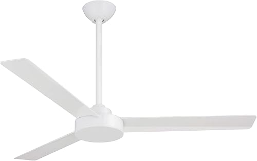 Minka Aire Roto - Ventilador de techo con control de pared, color blanco