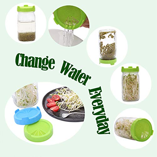 6 Pack Plastic Jar Sprouting Lid, Easy Rinse & Drain for Wide Mouth Mason Jar Lids, Grow Bean Sprouts, Alfalfa, Salad Sprouts etc