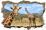 Giraffe Afrika Savanne TIer Wandtattoo Wandsticker Wandaufkleber D0286 Größe 70 cm x 110 cm
