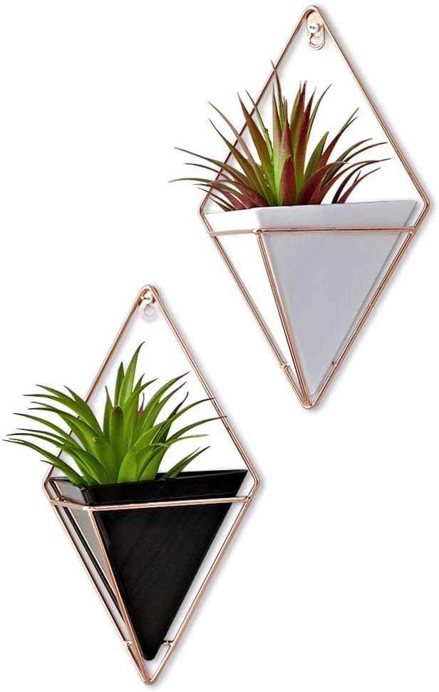 YANXUS Hanging Planter Succulent Planter Pot - Hanging Planter Pot Wall Planter Container for Succulent Plants Triangle Air Planter Succulent Planter Wall Decor(White-Black)