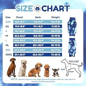 Breathable Dog Recovery Suit for Malefemale Tie Dye Blue Dog Onesie for Abdominal Wounds Cone Ecollar Alternative After Surgery to Antilicking Professional Surgery Suit for Dogs  Cucciolini Doodles Breathable dog recovery suit for malefemale tie dye blue dog onesie for abdominal wounds cone e collar alternative after surgery to anti licking professional surgery suit for dogs   cucciolini doodles