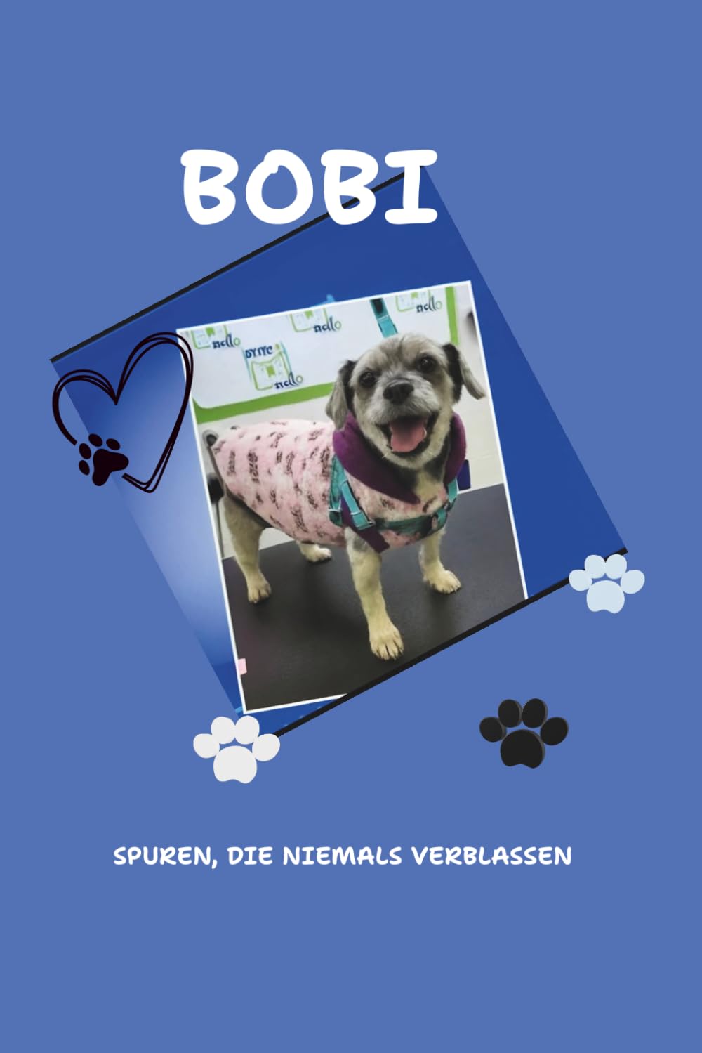 BOBI: SPUREN, DIE NIEMALS VERBLASSEN