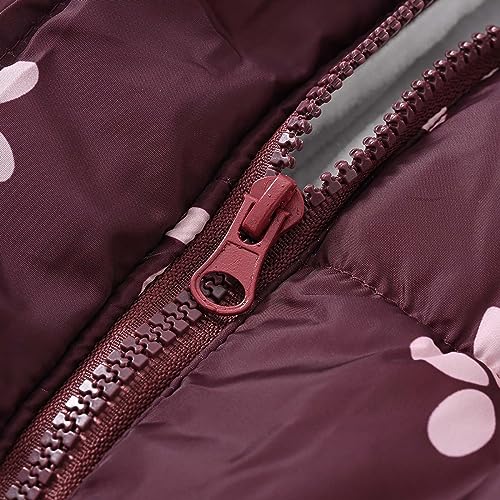 Girls Winter Coats Hooded Sherpa Lined Lightweight Jacket Thick Warm Puffy Waterproof Windproof Cotton Jackets (Purple, 3-4 Years)3