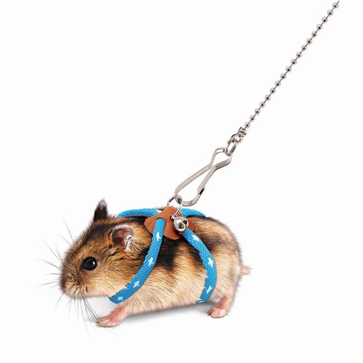 Pettorina regolabile per criceti, guinzaglio per criceti, pettorali, con campanella, topo, scoiattolo, aliante, per piccoli animali (rosa)