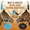 Prairie Horse Supply 10ft Poly Lead with Brass Snap, Turquoise - Heavy Duty Horse Lead, Soft Rope, Ideal for Equestrian Use #3
