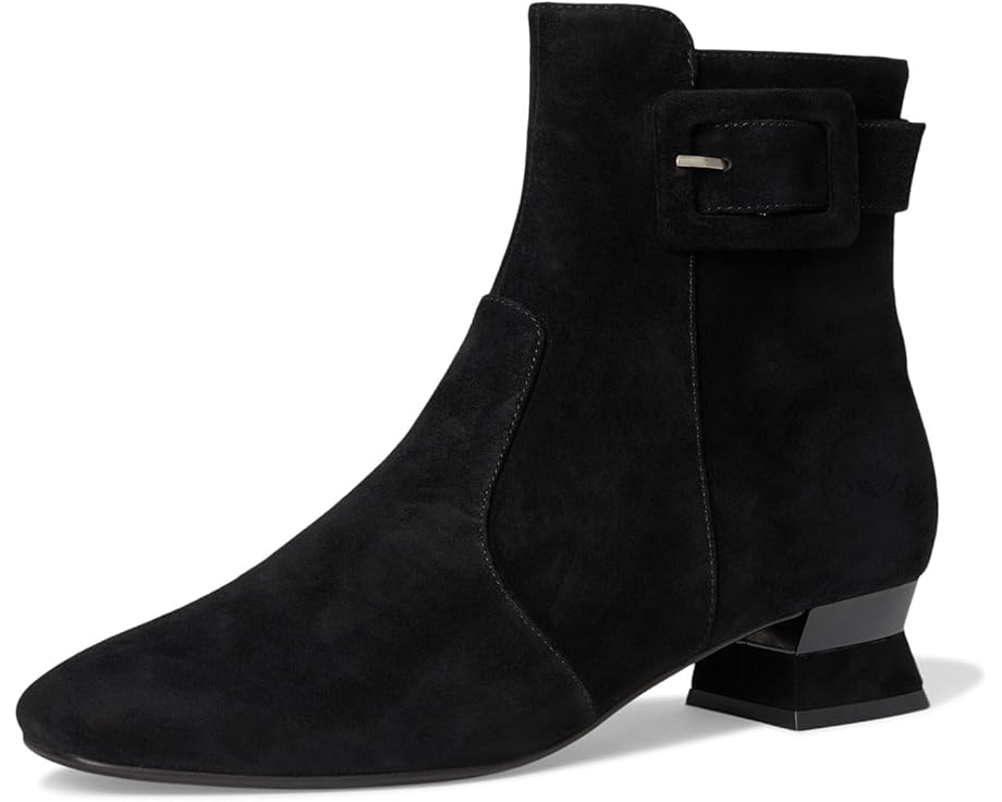 Vaneli Pierot - Front View