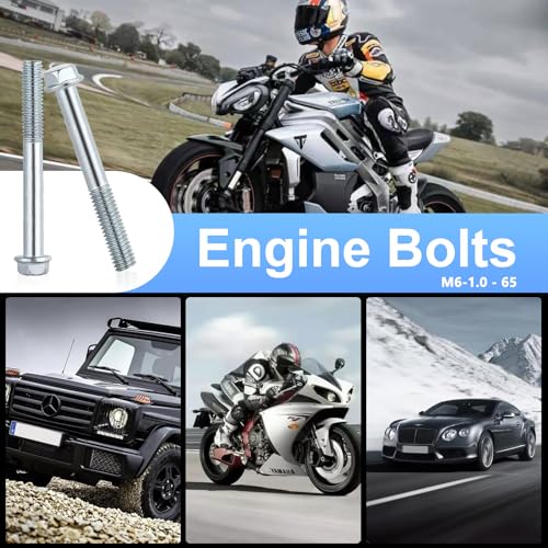 Image of Minho Motorcycle High Strength Grade 8.8 Metric Flanged Hex Bolts M6-1.0 - 65 Applied to Engine Bolts,10pcs