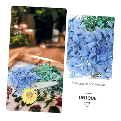 Flores prensadas naturales secas para manualidades miniatura 4