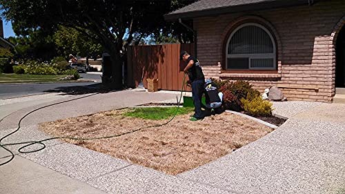 Miniatura 3 de Colorante para césped premezclado, 5 galones, respetuoso con el medio ambiente, aspecto natural, pintura de césped verde, listo para aplicar,