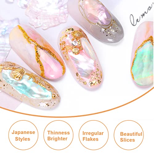 Nail Art Shell Flakes - Abalone Seashell Slices for DIY Manicure 12 Grids/Box (Shell Pieces B) - Image 4