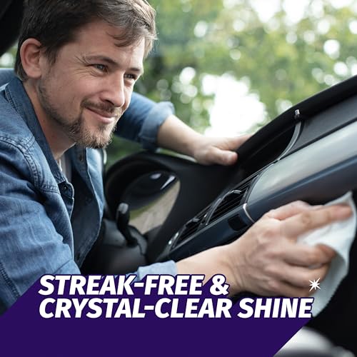 Windex Auto Wipes for Car Windows