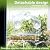 chunhai 2PCS Clear Bird Feeder for Window