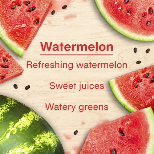 Image of Little Trees Watermelon Air Freshener (Pack of 24) | Tree-Shaped Hanging Design | Ideal For Car, Home, Wardrobes etc | Imported from USA