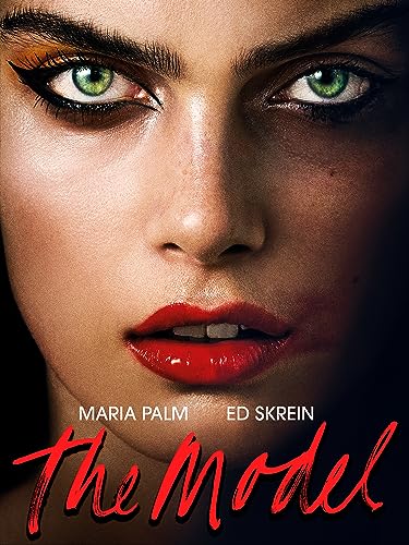  The model