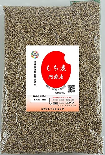 @ 800g@@E_ƈYhY@@E_fܓ