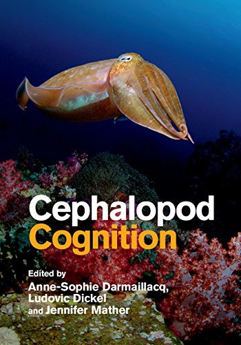 Cephalopod Cognition (English Edition) Livre PDF Gratuit