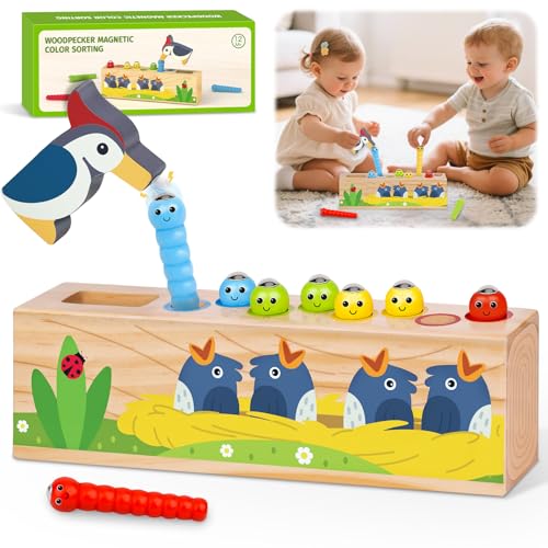 Montessori Spielzeug ab 1 2 3 Jahr - Magnetisches Holzspielzeug für 1-3 Jahre Baby Motorikspielzeug Geschenk 1 2 3 Junge Mädchen Farbe Steckspiel Kinderspielzeug ab 12 18 Monate Geburtstagsgeschenke