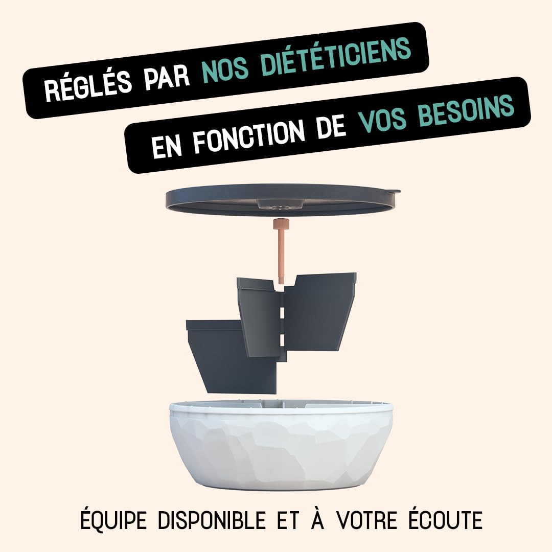 maju bol lunch box | Lunch box à compartiments ajustables + 1 bilan nutritionnel | Perte de poids & rééquilibrage alimentaire | Hermétique, Compatible micro-ondes & lave-vaisselle | Made in France