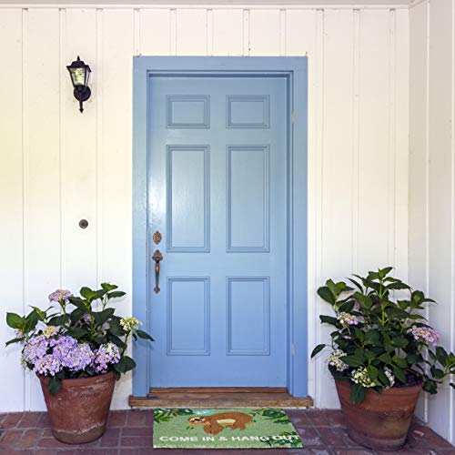 Relaxdays Fußmatte Kokos 'Come In & Hang Out', Faultier-Motiv, Türmatte außen & innen, Kokosmatte 60x40 cm, grün/braun