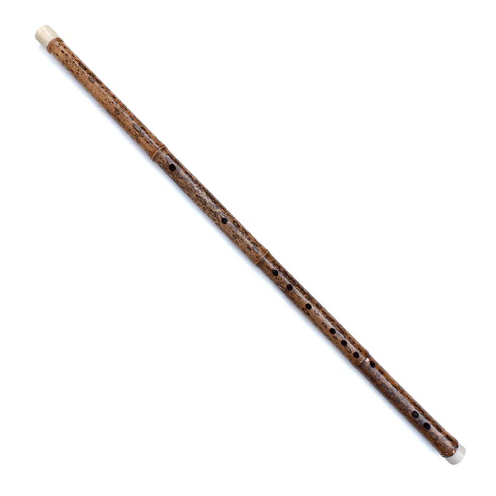 flute professional instrument transverse flute musical instrument E key