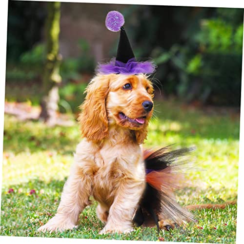 Set disfraz Halloween para perro y gato con falda y sombrero miniatura 2