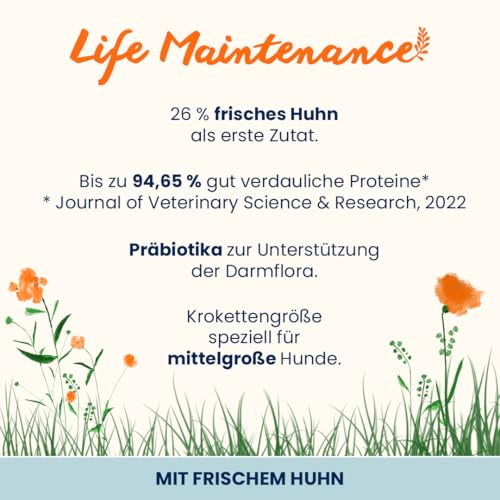 Almo Nature Life Maintenance Trockenfutter für Hunde M mit Huhn 12 kg – Alleinfuttermittel für ausgewachsene Hunde mittelgroßer Rassen