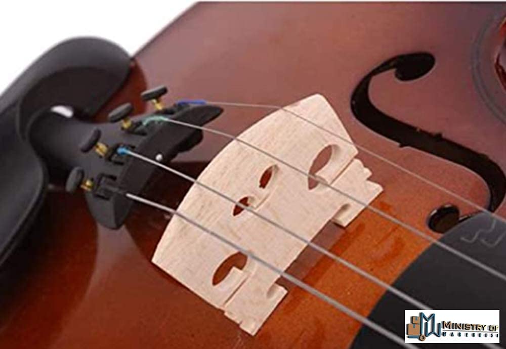 ARA STEP Vintage Knowledge Posters Musical Instruments Wall Decor Prints UNFRAMED. (297 x 420 mm / 11.7 x 16.5 inches, Violin Knowledge 2)