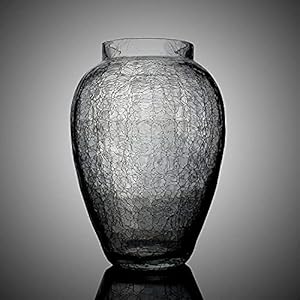 DECENT GLASS Cackle Glass Vase (Clear, Standard, Style 2, Round, 20 Cm)